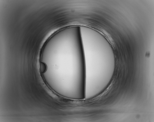 X0000103160796200808221150