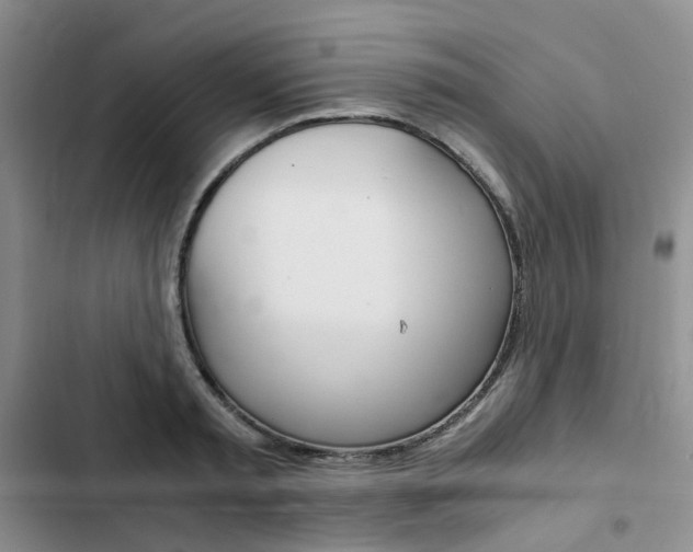 X0000103160797200808221150