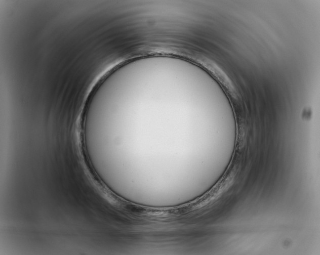 X0000103160798200808221150