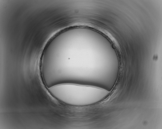 X0000103160799200808221150