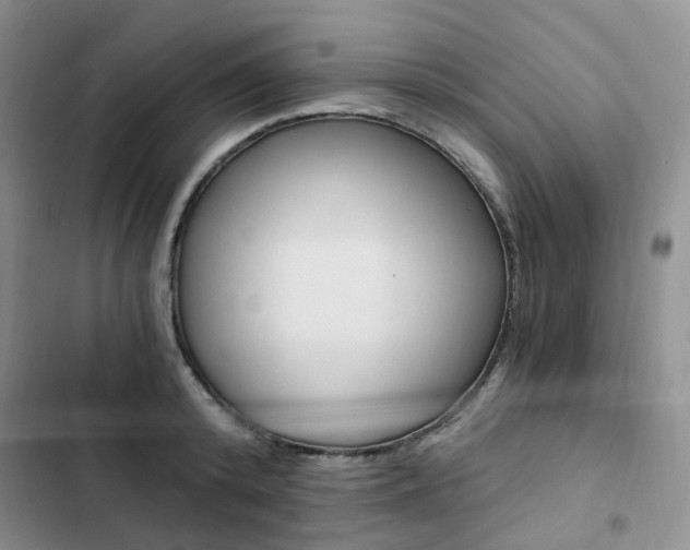 X0000103160800200808221150