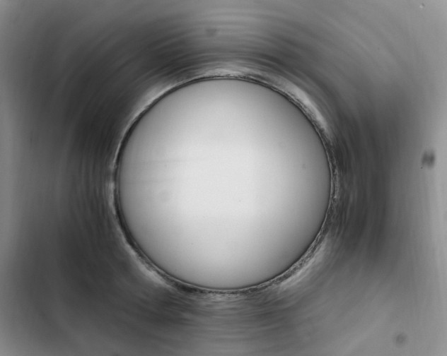 X0000103160802200808221150