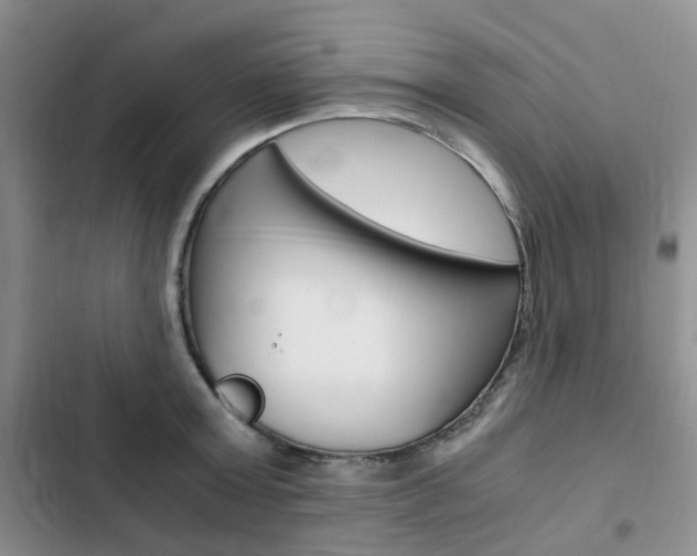 X0000103160803200808221150