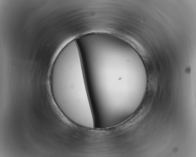 X0000103160804200808221150