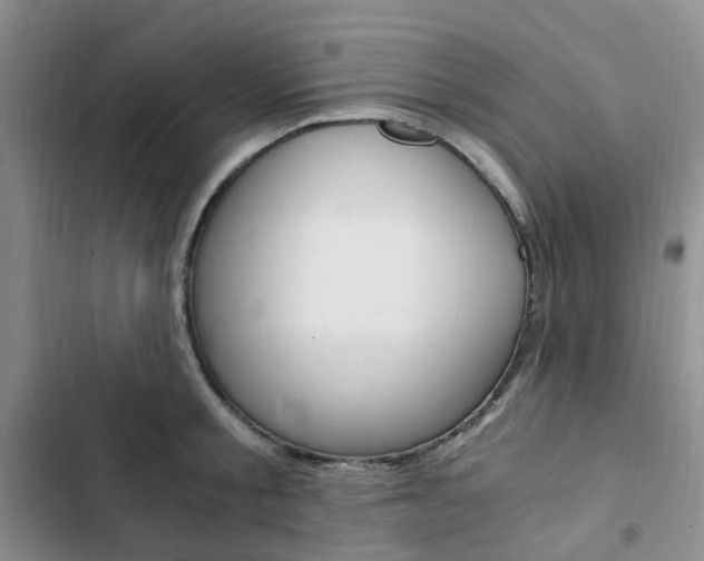 X0000103160805200808221150
