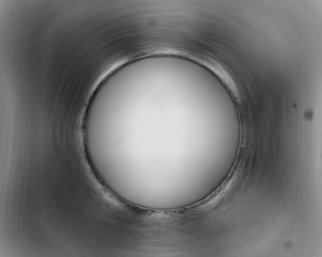 X0000103160806200808221150
