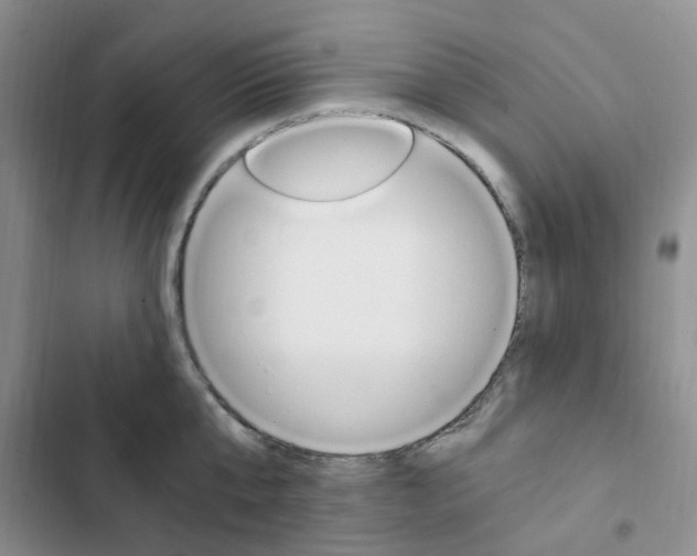 X0000103160807200808221150