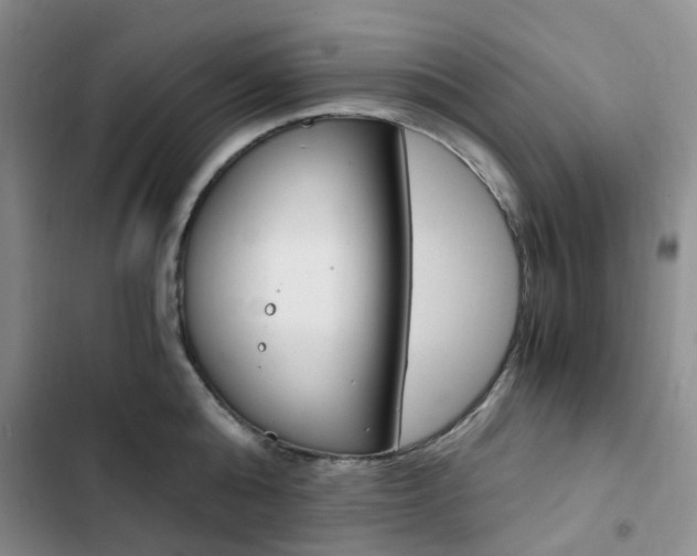 X0000103160808200808221150