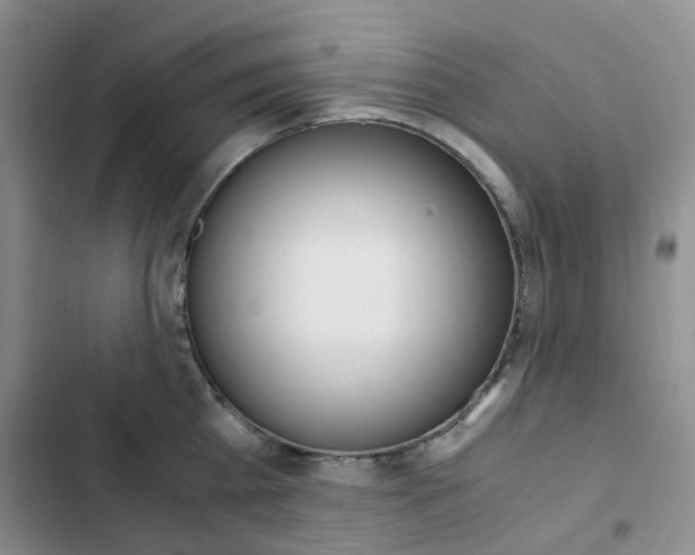 X0000103160809200808221150