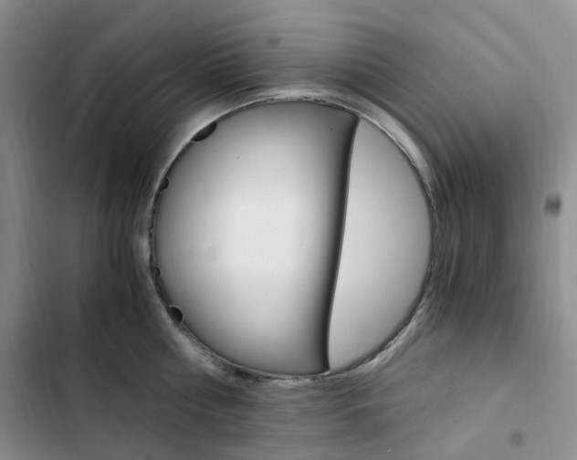 X0000103160810200808221150