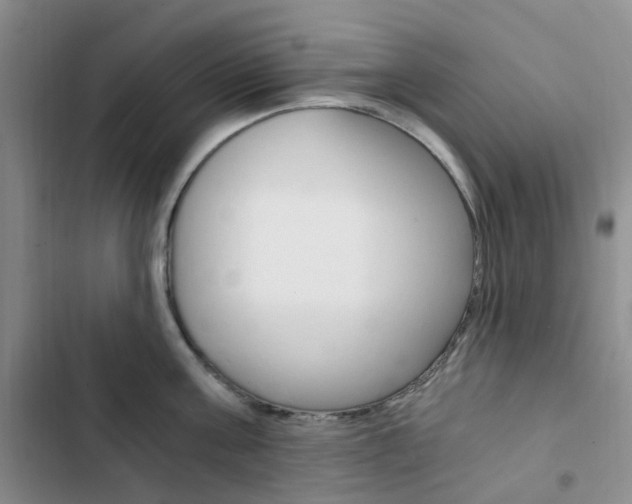 X0000103160811200808221150
