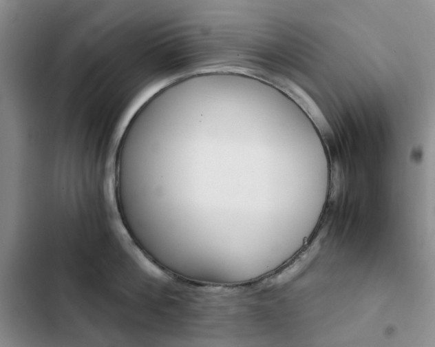 X0000103160812200808221150