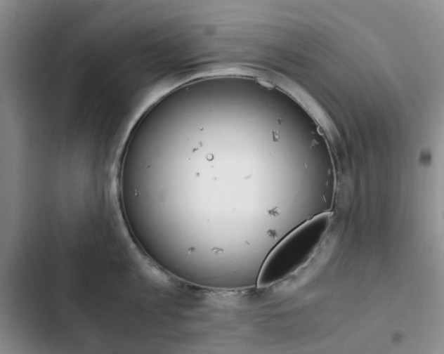 X0000103160813200808221150