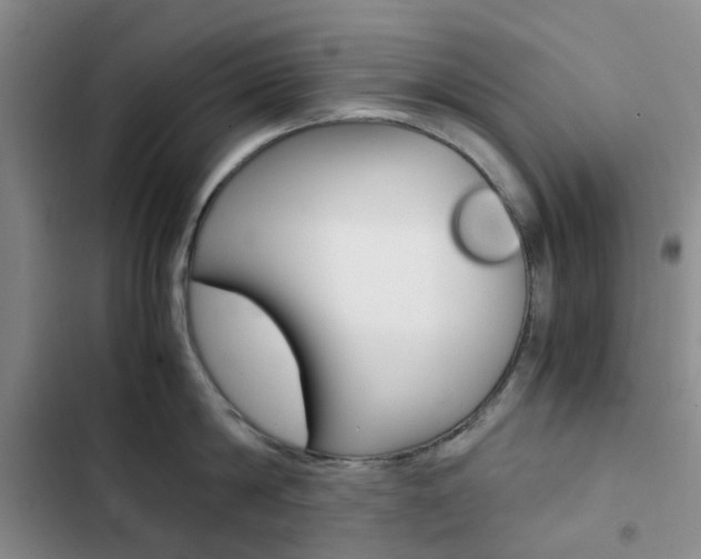 X0000103160814200808221150