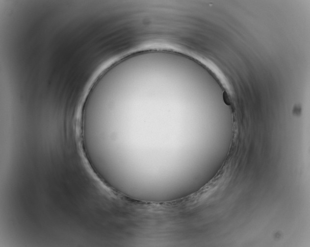 X0000103160815200808221150