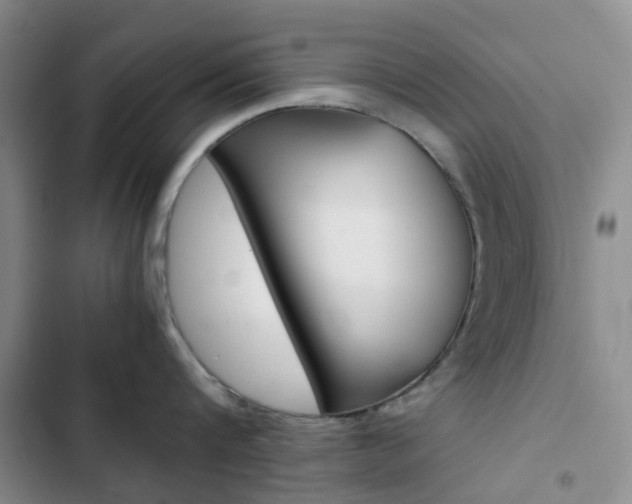 X0000103160816200808221150