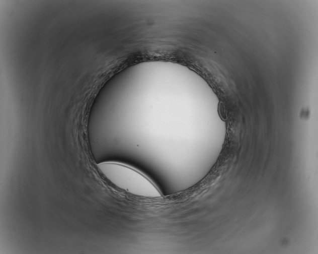 X0000103160817200808221149