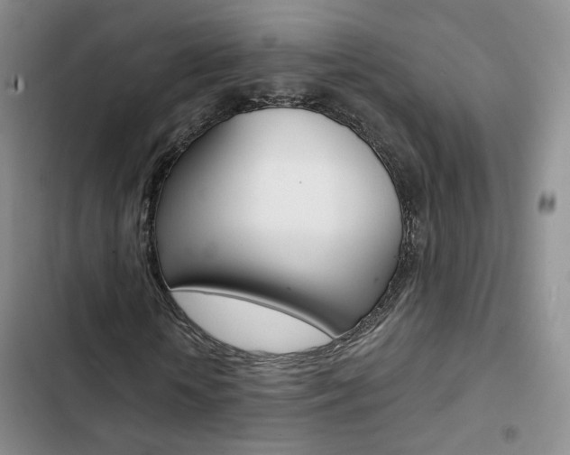 X0000103160818200808221149