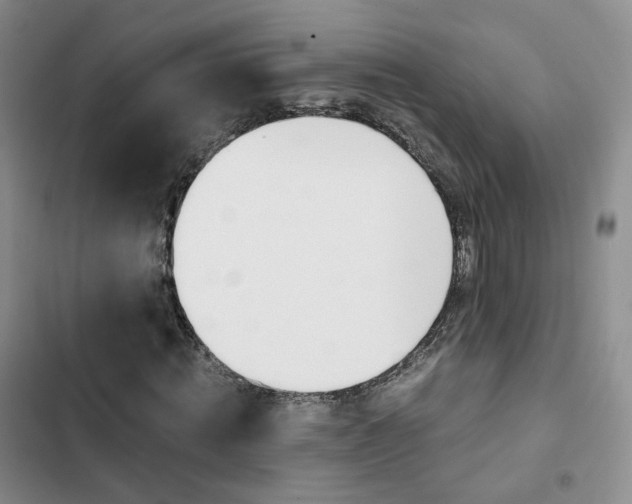 X0000103160820200808221149