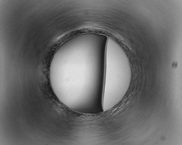 X0000103160822200808221149