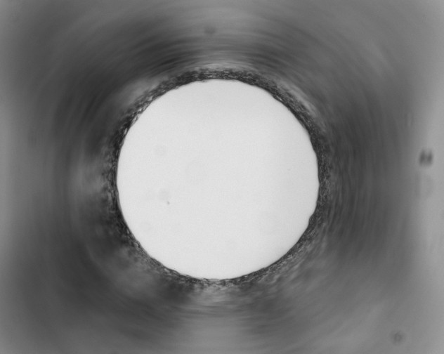 X0000103160824200808221149