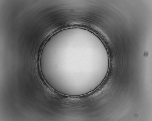 X0000103160825200808221150