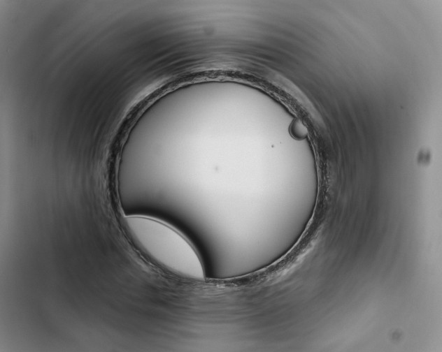 X0000103160826200808221150