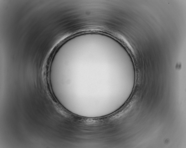 X0000103160827200808221150