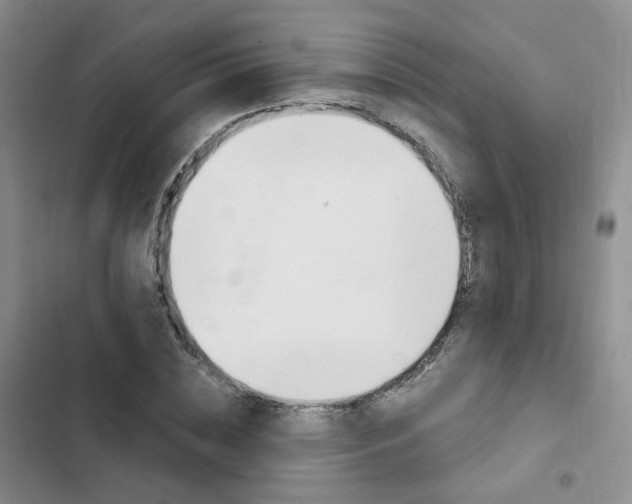 X0000103160828200808221150
