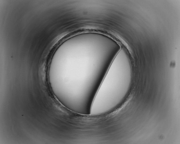 X0000103160829200808221150