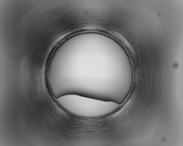 X0000103160831200808221150