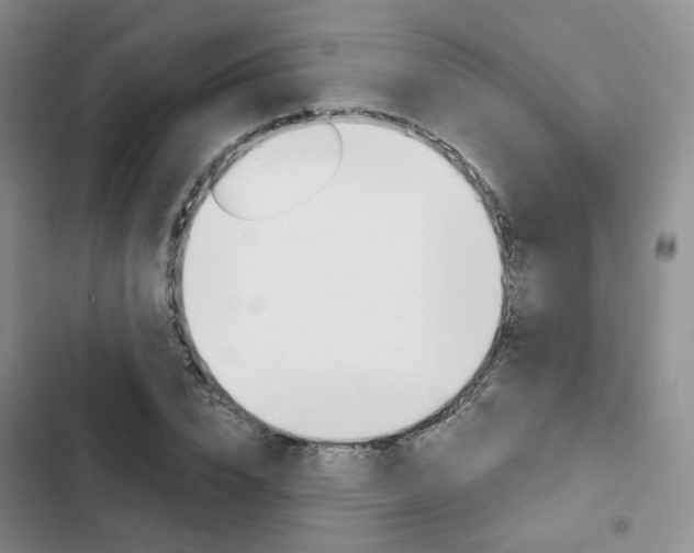 X0000103160832200808221150