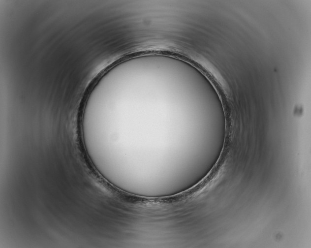 X0000103160834200808221150