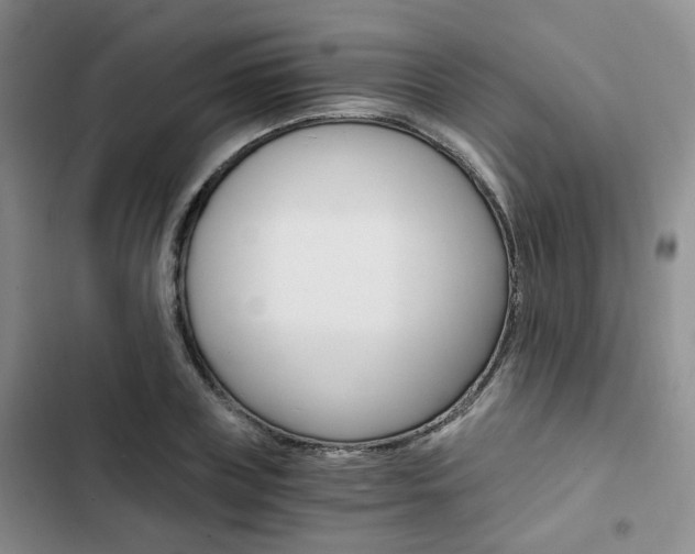 X0000103160835200808221150