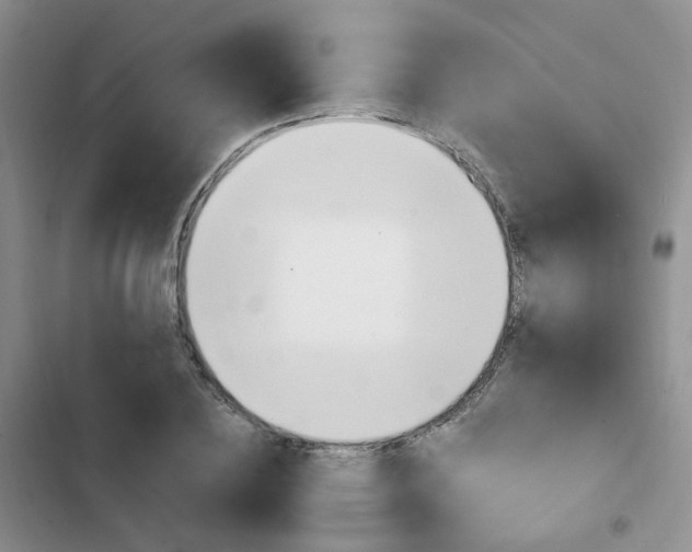 X0000103160836200808221150