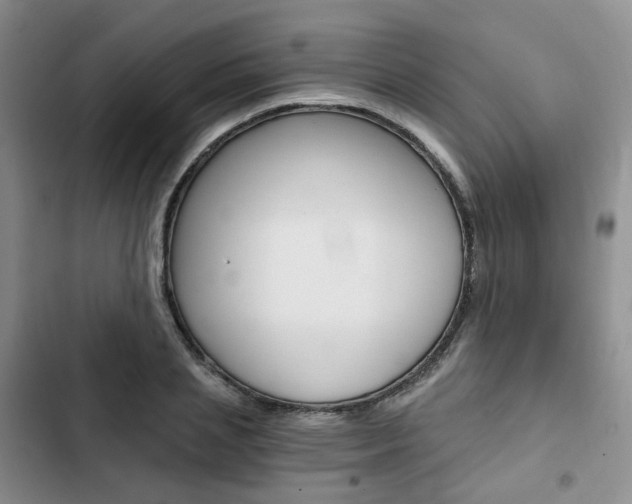 X0000103160837200808221150