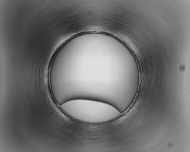 X0000103160839200808221150
