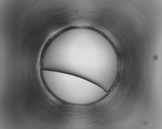 X0000103160840200808221150