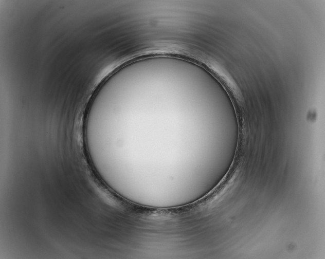 X0000103160842200808221150