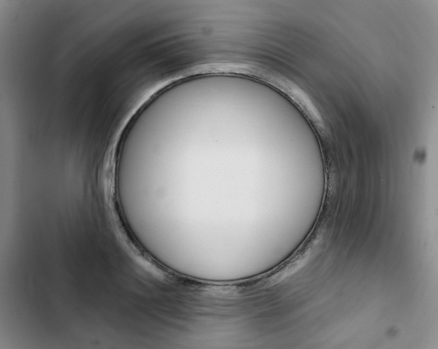 X0000103160844200808221150