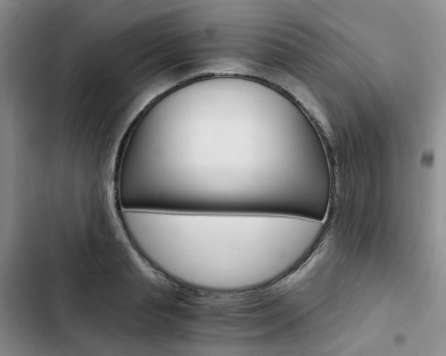 X0000103160845200808221150