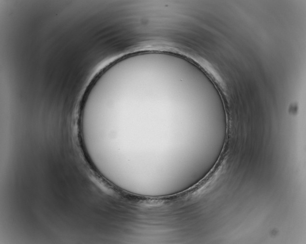 X0000103160846200808221150