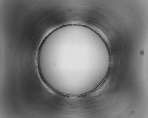 X0000103160847200808221150