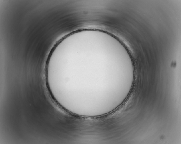X0000103160848200808221150