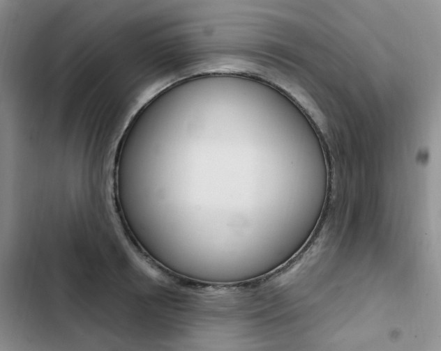 X0000103160850200808221150