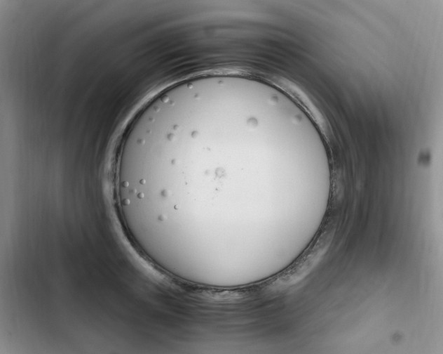 X0000103160851200808221150