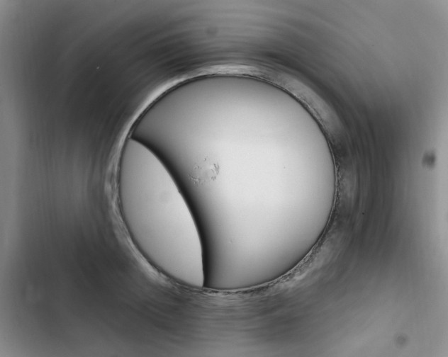 X0000103160852200808221150