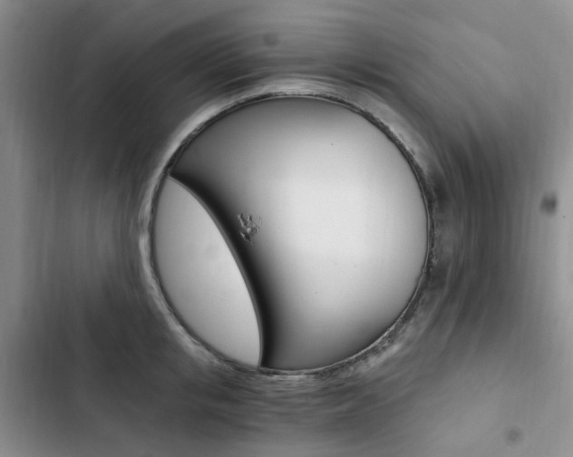 X0000103160853200808221150