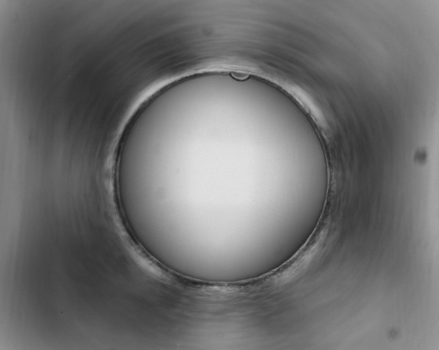 X0000103160854200808221150