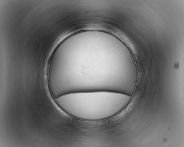 X0000103160855200808221150